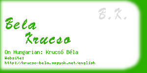 bela krucso business card